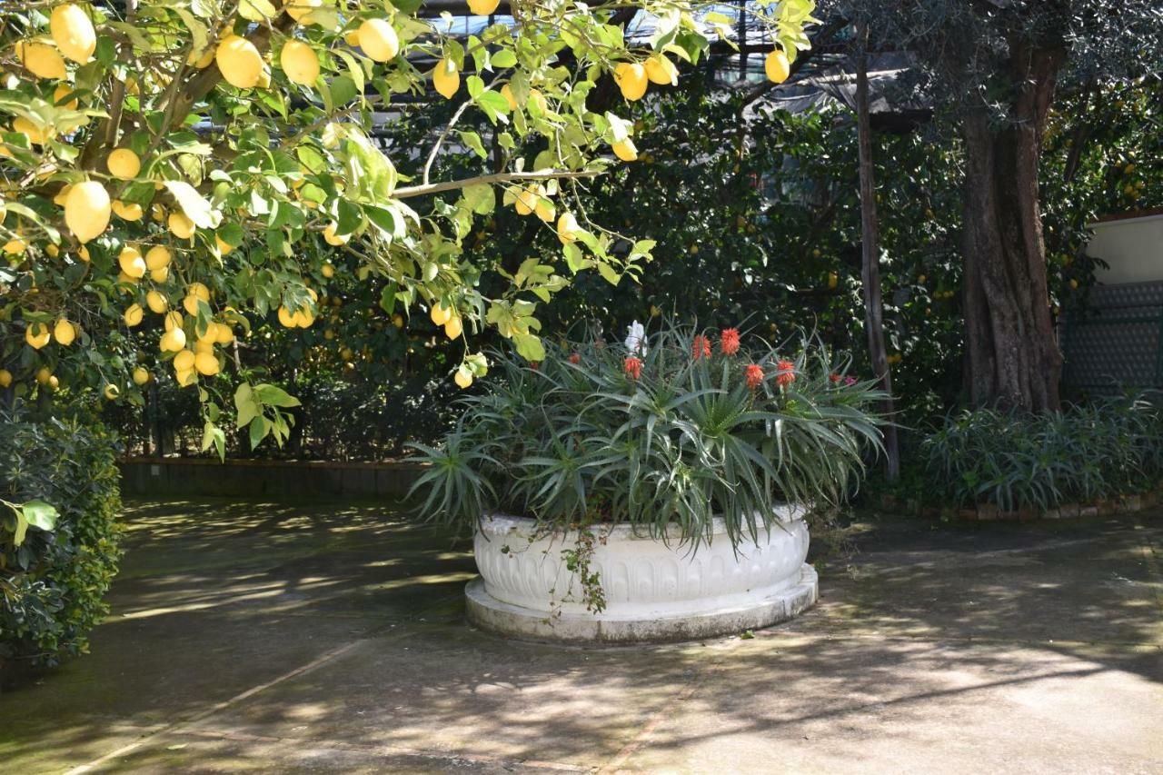 De Gregorio Apartment Маса Лубрензе Екстериор снимка